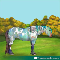 Horse Color:Nacre White Spotted Bay Dun Rabicano