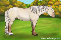 Horse Color:Silver Brown Roan Pearl Dun 