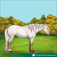 Horse Color:Silver Brown Roan Pearl Dun 