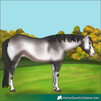 Horse Color:Platinum Brown Onyx