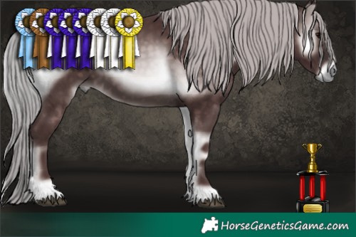 Horse Color:Platinum Chocolate Silver Brown Onyx 