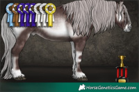 Horse Color:Platinum Chocolate Silver Brown Onyx 