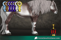 Horse Color:Platinum Chocolate Silver Brown Onyx 