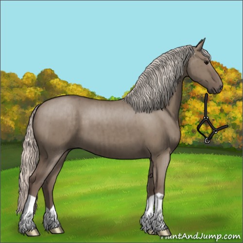 Horse Color:Silver Grullo Brindle 