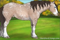 Horse Color:Sable Champagne Ice Splash Appaloosa