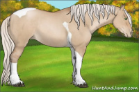 Horse Color:Silver Grullo Pearl Tobiano Rabicano
