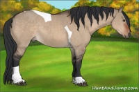 Horse Color:Brown Dun Tobiano Rabicano