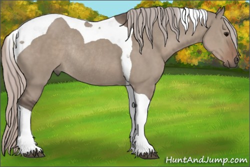 Horse Color:Silver Grullo Tobiano Rabicano