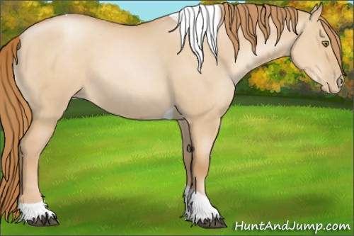Horse Color:Red Dun Pearl Tobiano Rabicano