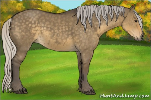 Horse Color:Silver Smoky Grullo 