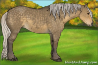 Horse Color:Silver Smoky Grullo