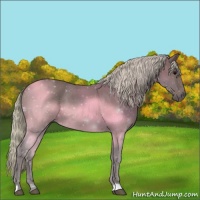 Horse Color:Silver Black 
