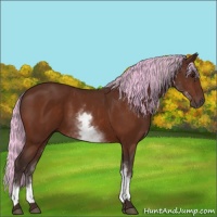 Horse Color:Painted White Spotted Silver Bay 