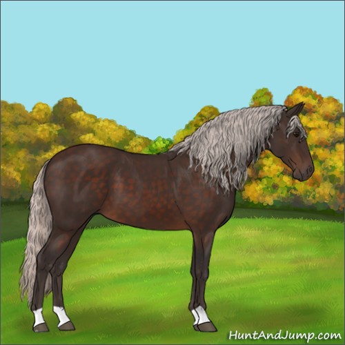 Horse Color:Silver Brown 