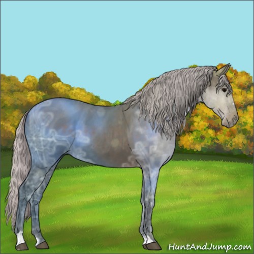 Horse Color:Silver Brown Ice Roan Sabino 