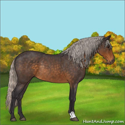 Horse Color:Silver Buckskin Roan Rabicano 