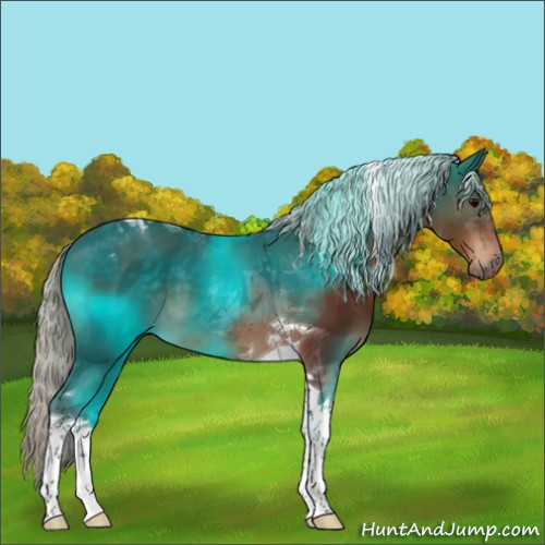 Horse Color:Silver Brown Tobiano 