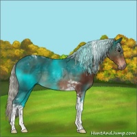 Horse Color:Silver Brown Tobiano 