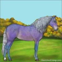 Horse Color:Watercolor Silver Brown 
