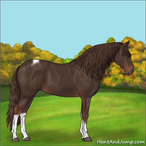 Horse Color:Liver Chestnut Tobiano 
