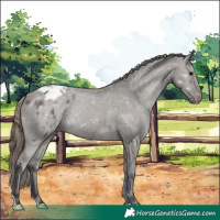Horse Color:Grullo Varnish 
