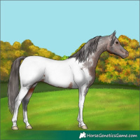 Horse Color:Brown Tobiano Near Fewspot 
