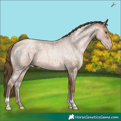 Horse Color:Brown Roan Pearl 
