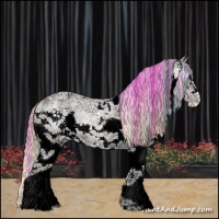 Horse Color:Plaid  White Spotted Gold Champagne Ice Dun Sabino Splash 