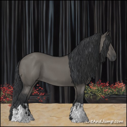 Horse Color:Grullo 