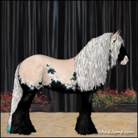 Horse Color:Silver Sable Champagne Splash 