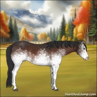 Horse Color:White Spotted Brown 