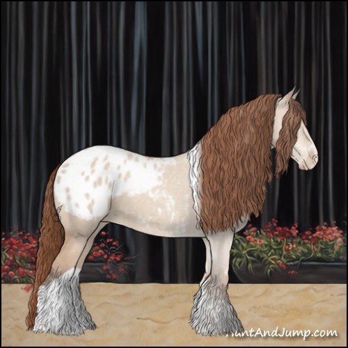 Horse Color:Amber Champagne Dun Tobiano Appaloosa