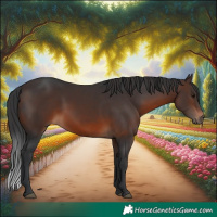 Horse Color:Brown 