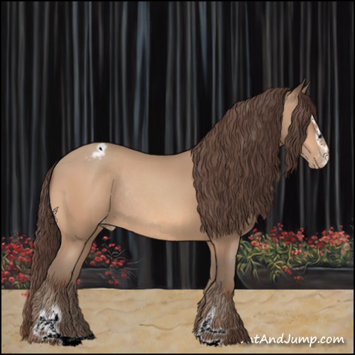 Horse Color:Amber Champagne Sabino Appaloosa Rabicano 