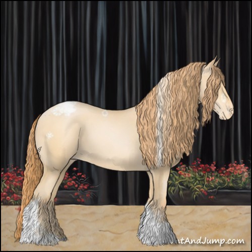 Horse Color:Buckskin Pearl Tobiano Appaloosa