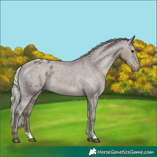 Horse Color:Silver Grullo Varnish 