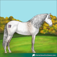 Horse Color:Gray Amber Champagne 