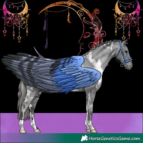 Horse Color:White Spotted Black Varnish