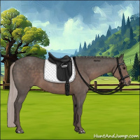 Horse Color:Silver Black Mushroom 