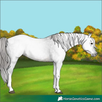 Horse Color:Gray Brown Tobiano Varnish 