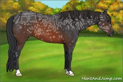 Horse Color:Brown Ice