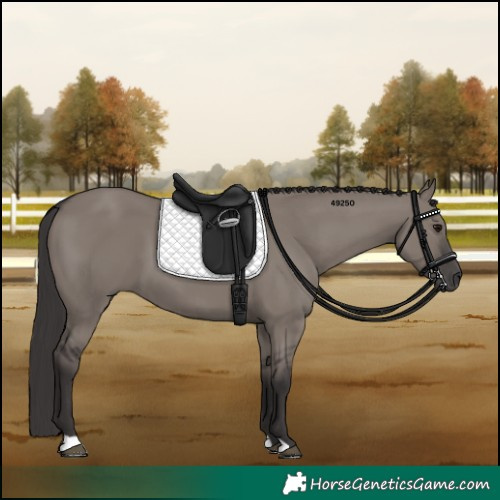 Horse Color:Platinum Smoky Grullo 