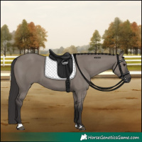 Horse Color:Platinum Smoky Grullo 