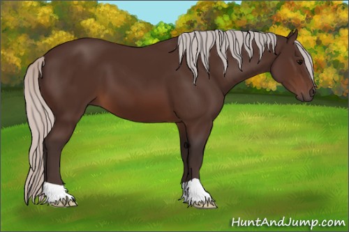 Horse Color:Silver Brown 