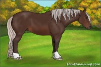 Horse Color:Silver Brown 