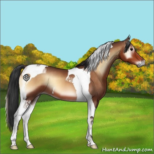 Horse Color:Bay Onyx Tobiano 