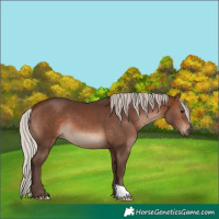 Horse Color:Silver Brown 