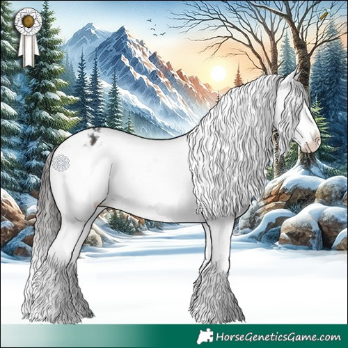 Horse Color:Brown Dun Appaloosa Brindle 