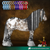 Horse Color:Brown Dun Blanket Brindle 