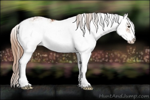 Horse Color:Chestnut Sabino 